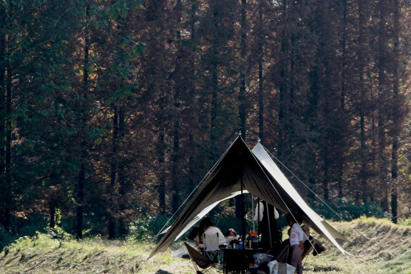 Camping Safety Tips