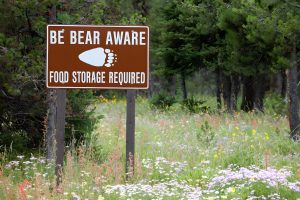 Camping Safety Bear Food Sign