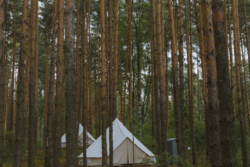 Guide To Lux Camping