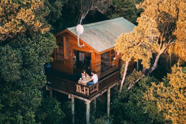 treehouse camping