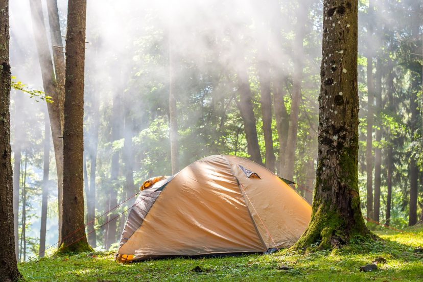 Camping tent in green forest