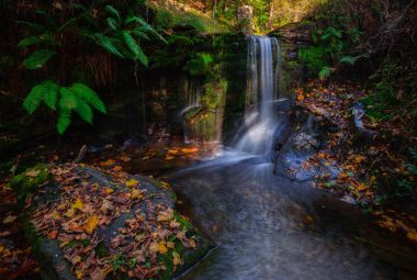 Small waterfall in a stream