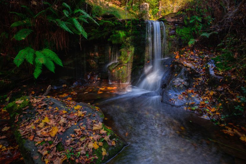 Small waterfall in a stream